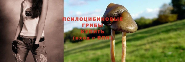 2c-b Кинешма