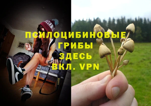 2c-b Кинешма