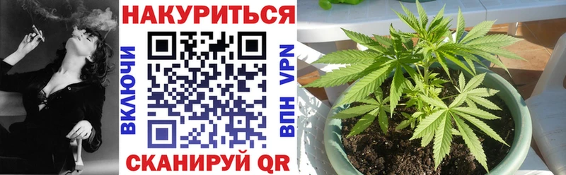 Купить  Бакал  Марихуана VHQ 